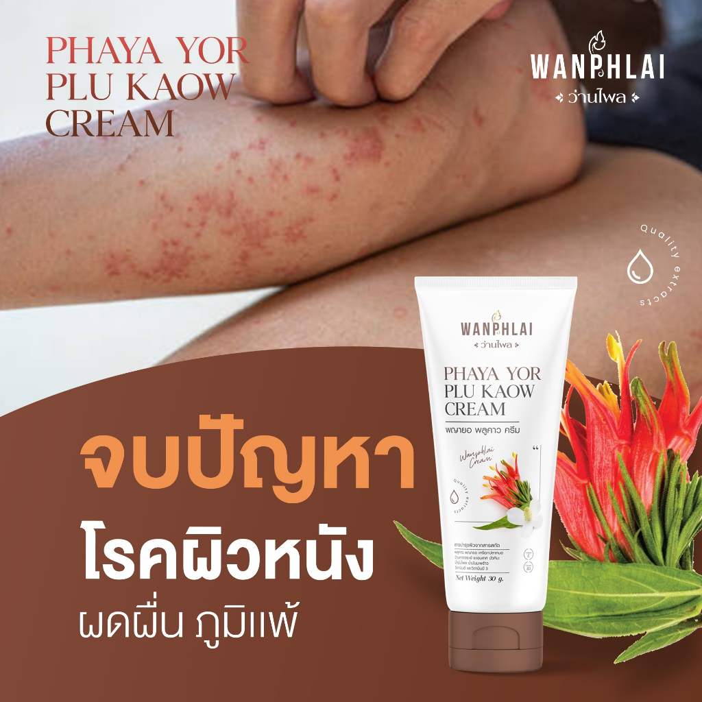 ครีมพญายอ พลูคาว ลดคันสะเก็ดเงิน คันสังฆัง ลดผื่นคัน แก้ปัญหาน้ำเหลืองเสีย