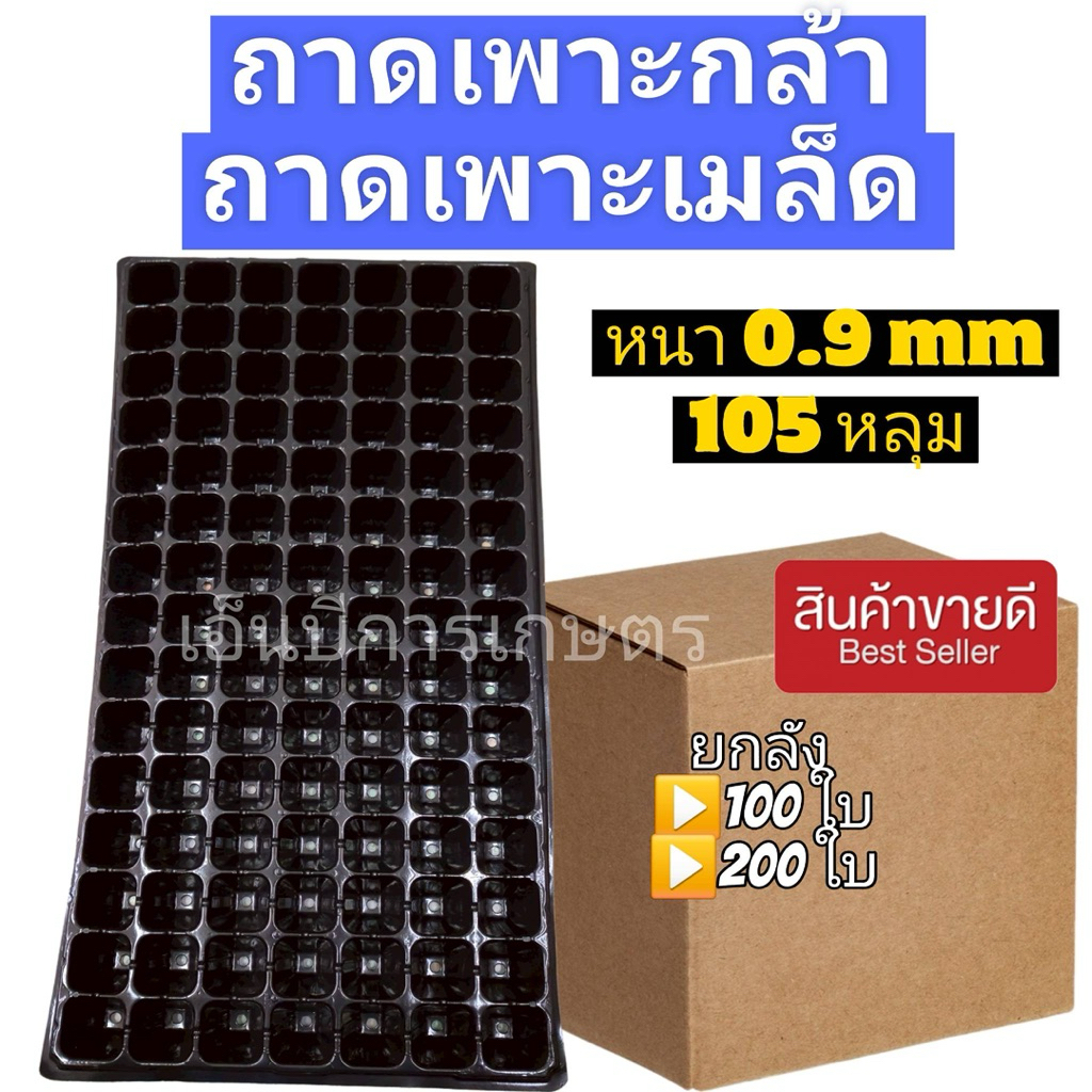 ถาดเพาะขนาด 105 หลุม พลาสติกเกรดเอ