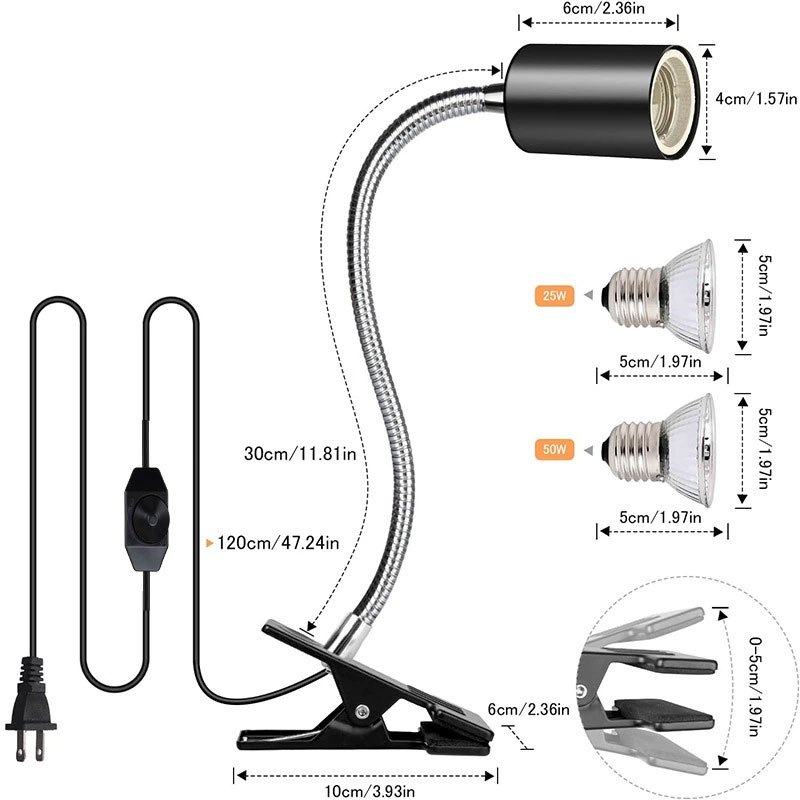 รูปภาพ 2