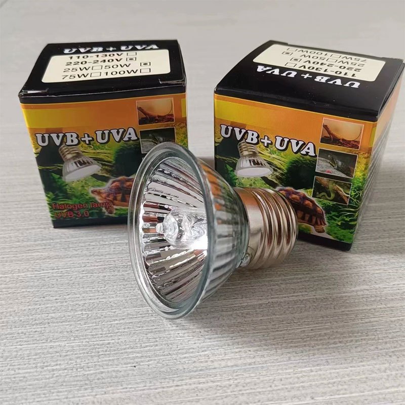 รูปภาพ 7