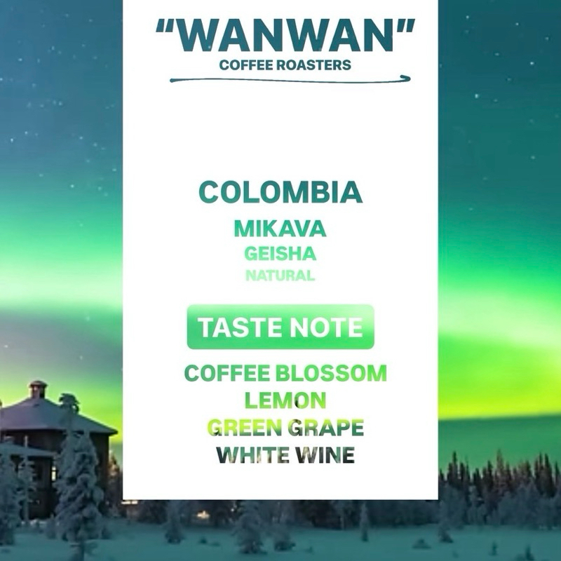 WANWAN - MIKAVA (Geisha) “Colombia” 🇨🇴