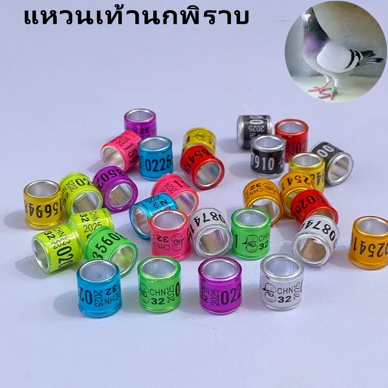 ถูกสุด🔥แหวนเท้านกพิราบ แหวนเท้านกพิราบหลากสี 2025 8 มม ห่วงใส่ขานก แหวนขานกแก้ว เครื่องมือฝึกนก