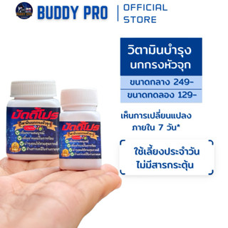 วิตามินบำรุงนกบัดดี้โปรสดร้องริก