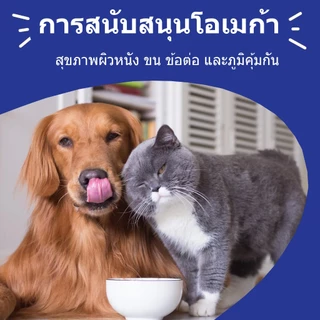Popoo น้ำมันปลา สุนัข Omega3 Wild Fish Oil for Dogs and Cats อาหารสุนัข วิตามินแมว บำรุงขน ผิวหนังและข้อต่อ (120 แคปซูล)