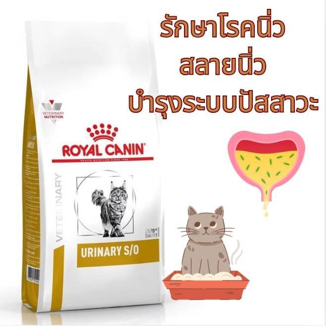 Royal Canin URINARY S/O 85 g 1.5 kg 3 kg และ 7 kg อาหารแมวโตโรคนิ่ว และรักษากระเพาะปัสสาวะอักเสบ