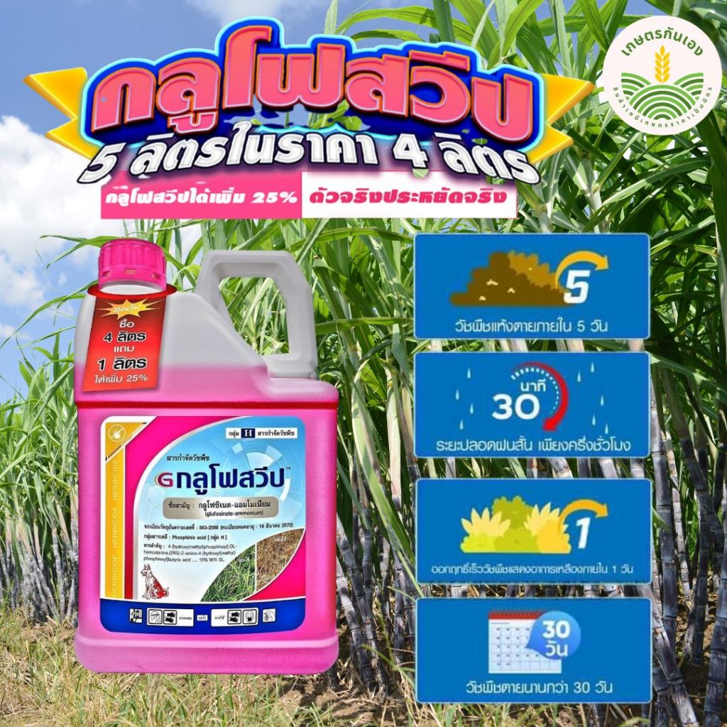 กลูโฟสวีป ขนาด 5ลิตร ซื้อ 4ลิตรแถม 1 ลิตร กลูโฟซิเนต