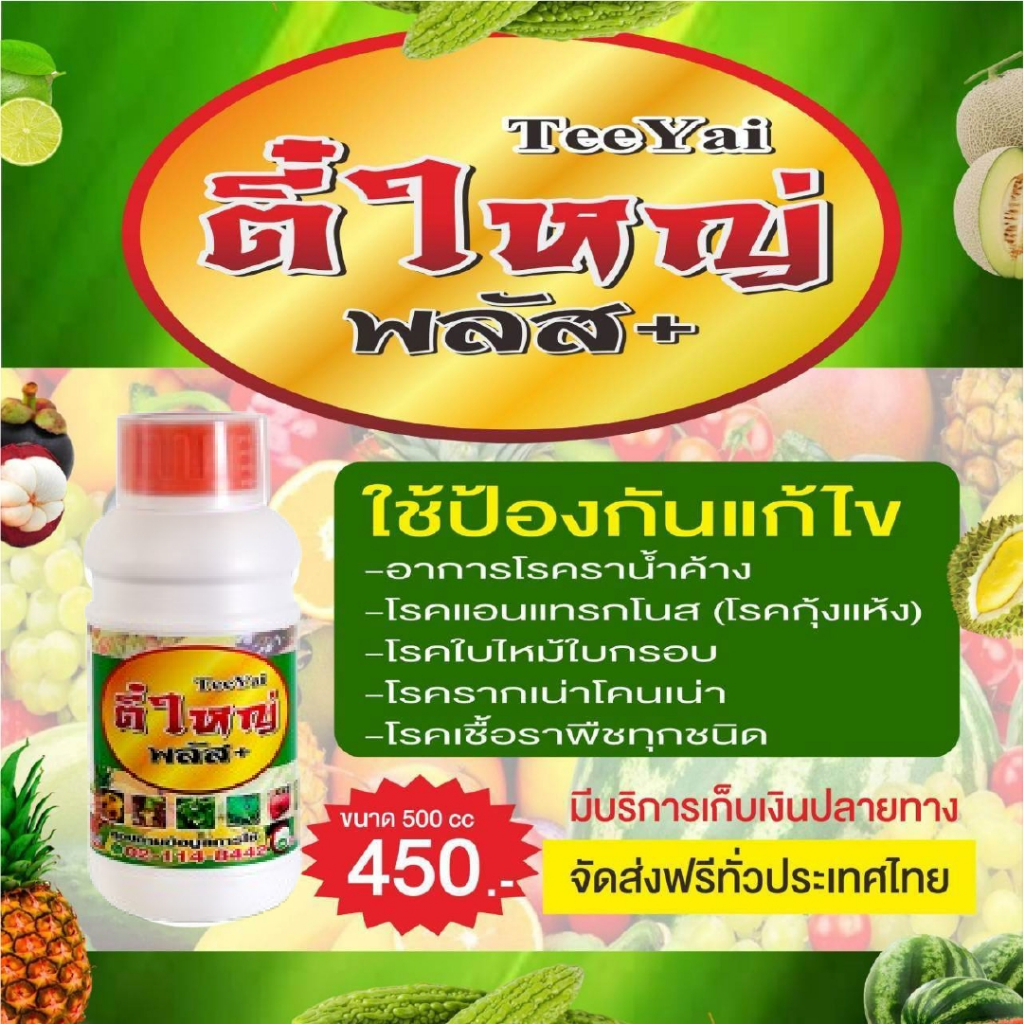 กำจัดอาการโรคเชื้อราพืชทุกชนิด"ตี๋ใหญ่พลัส" 500 cc