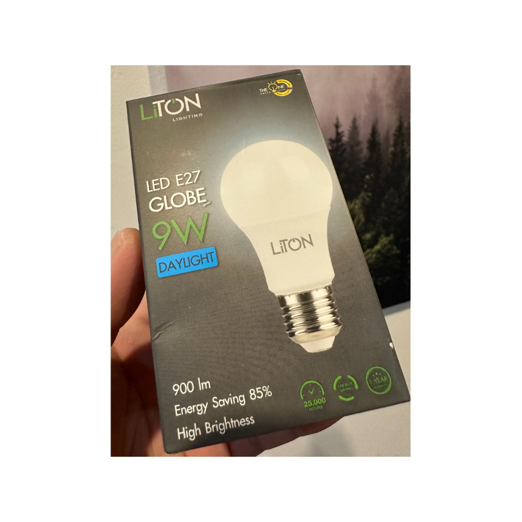 Liton Lighting LED E27 Globe Daylight