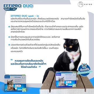 Virbac Effipro Duo Spot-On เอฟฟิโปร ดูโอ้ สปอต ออน ผลิตภัณฑ์กำจัดหมัด ชนิดหยดหลัง สำหรับแมว บรรจุ 4 หลอด