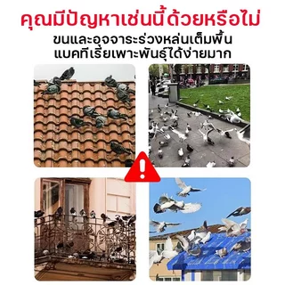 ชาร์จ1ครั้งใช้ได้365วัน เลเซอร์ไล่นกพิราบ 1วิไล่นก เลเซอร์แรงสูง แสงเขียว Laser pointer303+ถ่านชาร์จ6800mAh+เครื่องชาร์จ