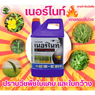 กลูโฟซิเนต-แอมโมเนียมขนาด 4 ลิตร จิงโจ้ทอง เนอร์ไนท์สีม่วง 3แกลลอนกำจัดวัชพืชหลังงอกแบบไม่เลือกทำลาย