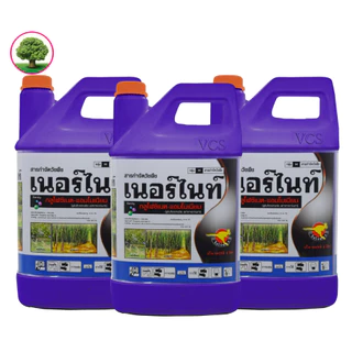 กลูโฟซิเนต-แอมโมเนียมขนาด 4 ลิตร จิงโจ้ทอง เนอร์ไนท์สีม่วง 3แกลลอนกำจัดวัชพืชหลังงอกแบบไม่เลือกทำลาย
