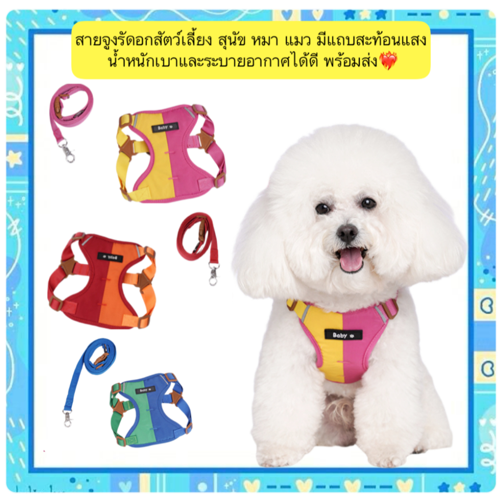 PP-502 สายจูงรัดอกสัตว์เลี้ยง สำหรับสุนัขและแมว พร้อมแถบสะท้อนแสง น้ำหนักเบา ระบายอากาศได้ดี พร้อมส่ง❤️‍🔥