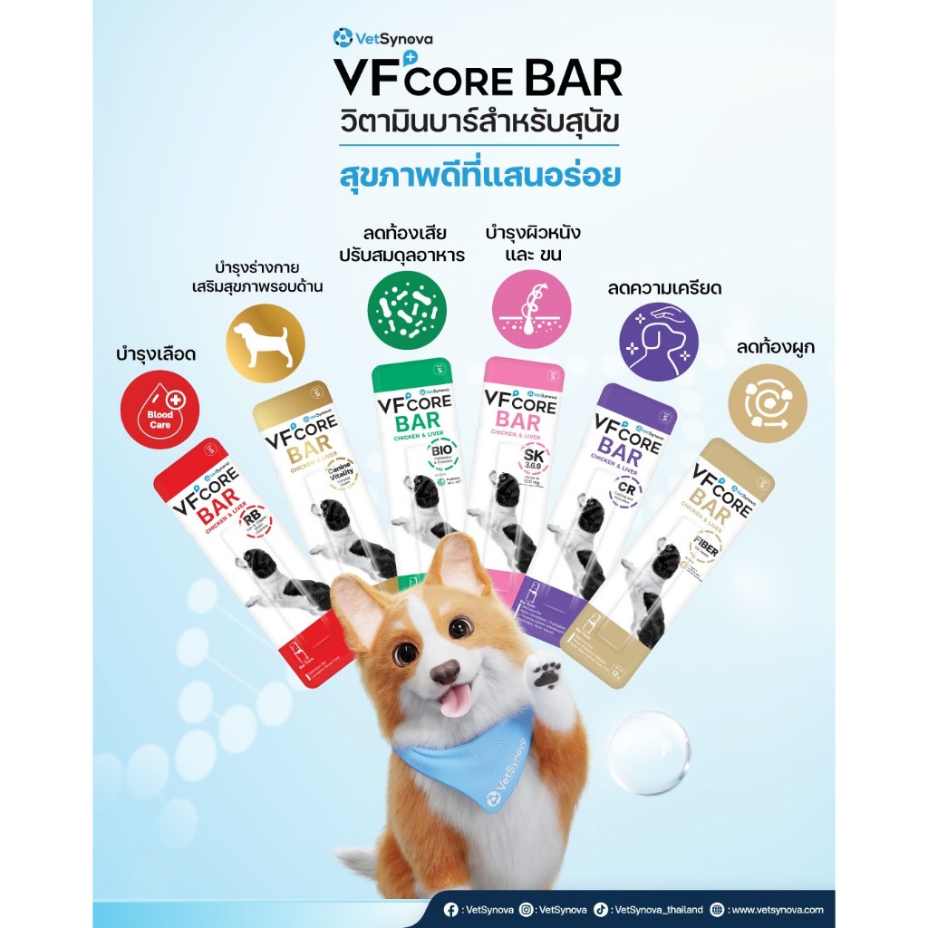 VFcore BAR วิตามินบาร์สำหรับสุนัข