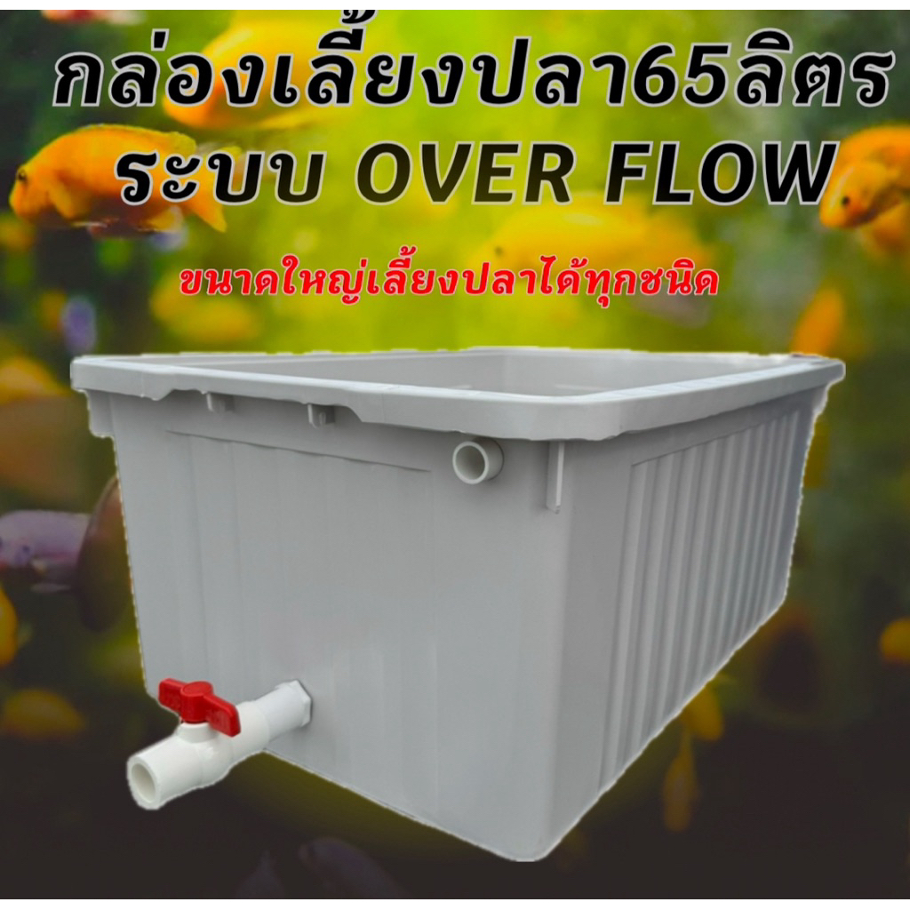 อ่างเลี้ยงปลา 65 ลิตร overflow 64x44x31ซ. (กล่องสีขาวครีม) ระบบวาวล์ปิดเปิดน้ำได้ กะบะเลี้ยงปลา อ่างเลี้ยงปลา อ่างสวยๆ