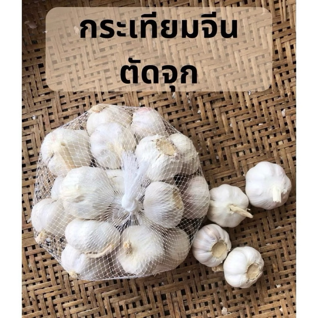 กระเทียม จีนปิงปอง#หัวใหญ่คัดคุณภาพ หัวใหญ่ แกะง่าย ปอกง่าย
