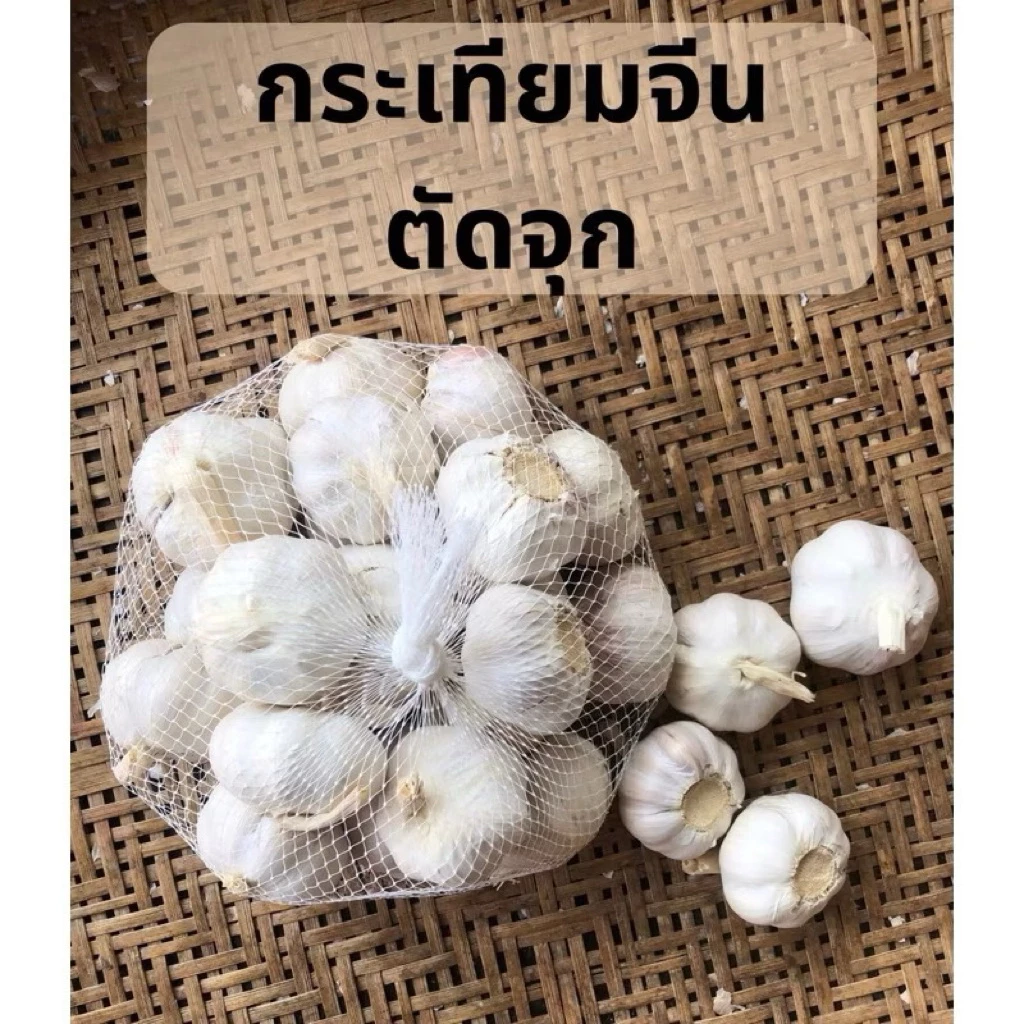 กระเทียม จีนปิงปอง#หัวใหญ่คัดคุณภาพ หัวใหญ่ แกะง่าย ปอกง่าย