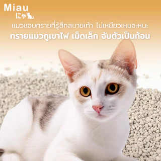 Miau Miau ทรายแมวสูตรธรรมชาติ 2kg คุมกลิ่นเยี่ยม ไร้ฝุ่น ไม่ระคายผิว แมวไม่แพ้ เบนโทไนต์ เหมาะกับทุกสายพันธุ์ #PET09