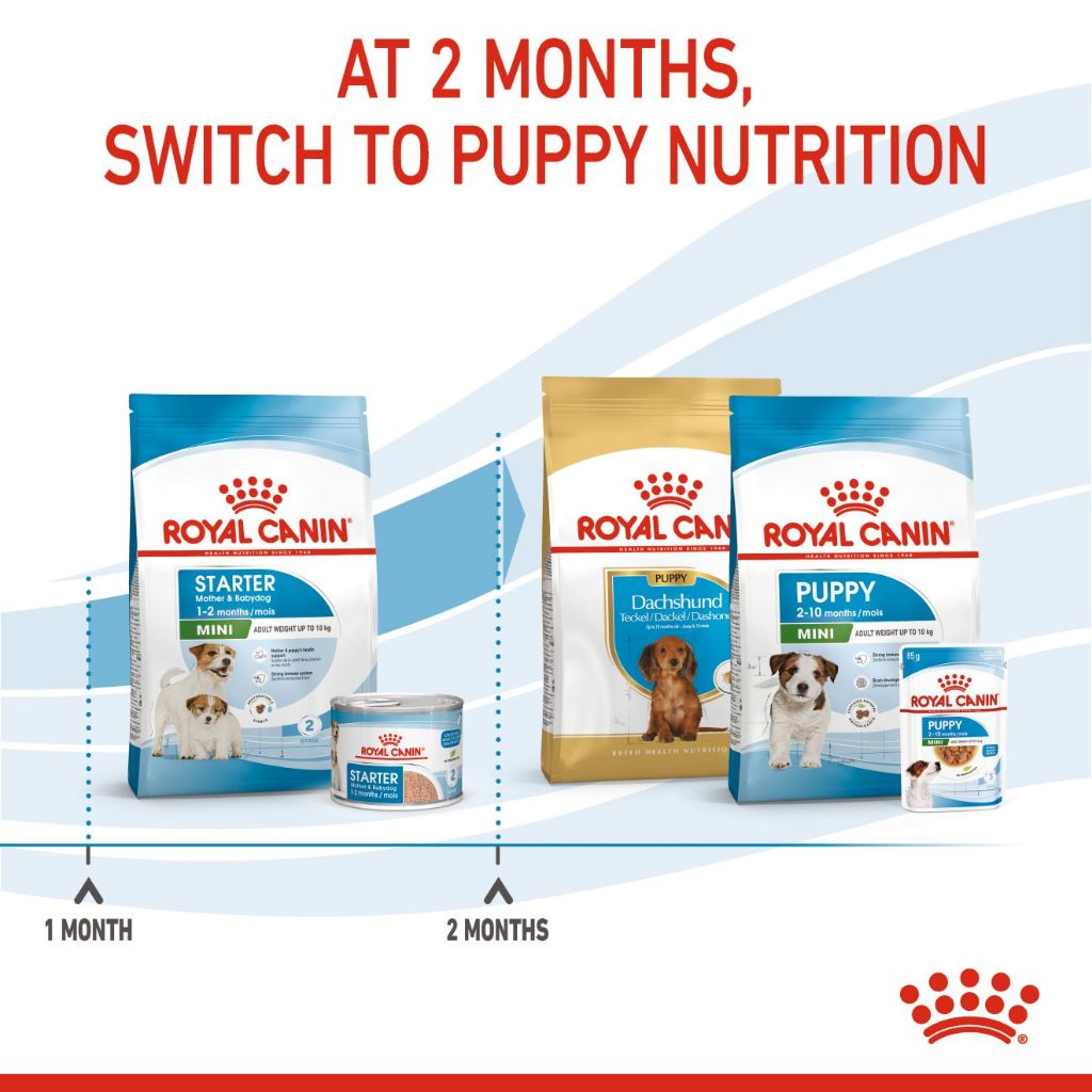 Royal Canin Dog 3 kg สำหรับแม่และลูกสุนัขพันธุ์เล็ก Starter Mother & Baby Dog - รูปที่ 6