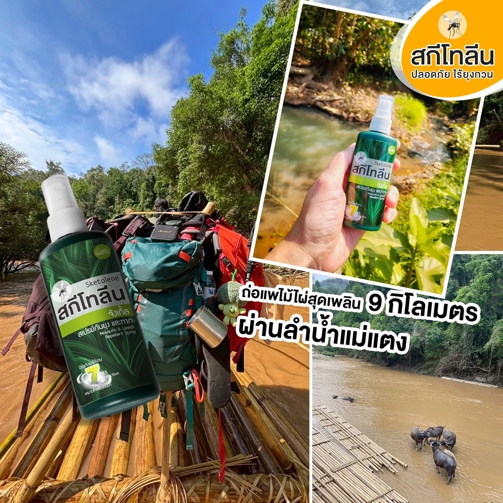 (1 ขวด)Sketolene สกีโทลีน จังเกิ้ล สเปรย์กันยุง และทาก 70 มล. สเปรย์กันยุงสำหรับนักเดินป่า แคมป์ปิ้ง Jungle Deet95% thumbnail 5