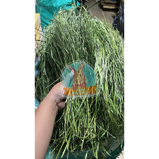 หญ้าทิมโมธีพรีเมี่ยมอบลมร้อน timothy เกรดยอดอ่อน มีไฟเบอร์วิตามิน สำหรับสัตว์ฟันแทะ กระต่าย แกสบี้ แพรี่ด็อก