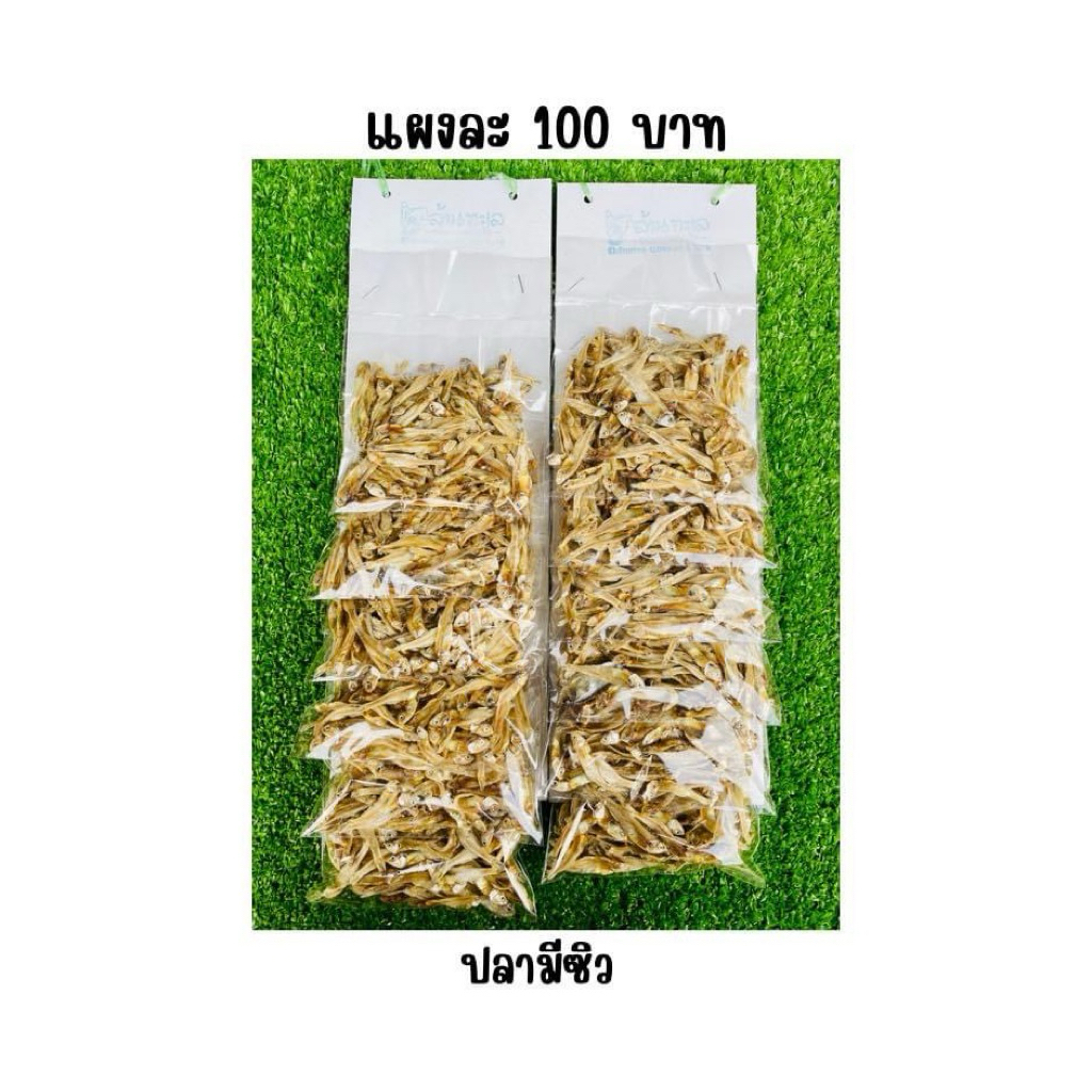 ปลาซิว ปลาตัวเล็ก ขายส่งยกแผง ( 1 แผง มี 6 แพ็ค )