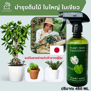 สเปรย์บำรุงใบ ใบใหญ่ ใบเขียว กระตุ้นการแตกใบ แตกยอด ปลอดภัยต่อผู้ใช้ ขนาด 450 ml