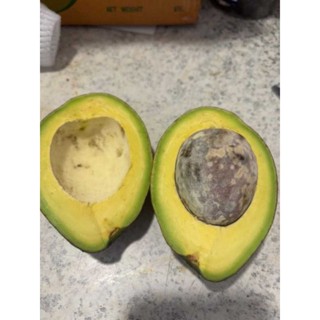 อะโวคาโดพันธุ์พื้นเมืองอ.พบพระคัดใหญ่..3-4ลูก/kilo1กิโล