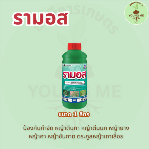 รามอส กลูโฟซิเนต-แอมโมเนียม กำจัดวัชพืช