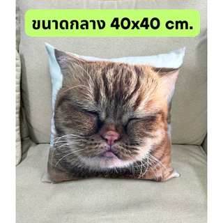 ปลอกหมอนอิงสกรีน ออกแบบลายได้เองตามใจชอบ