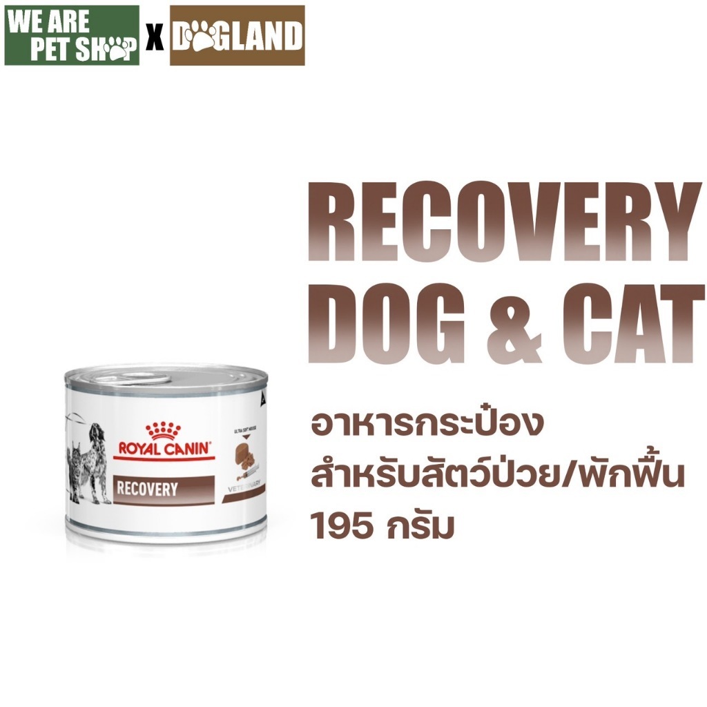 Royal Canin Vet Dog 1 กระป๋อง Recovery หมาแมวพักฟื้น (195g) 113 บาท