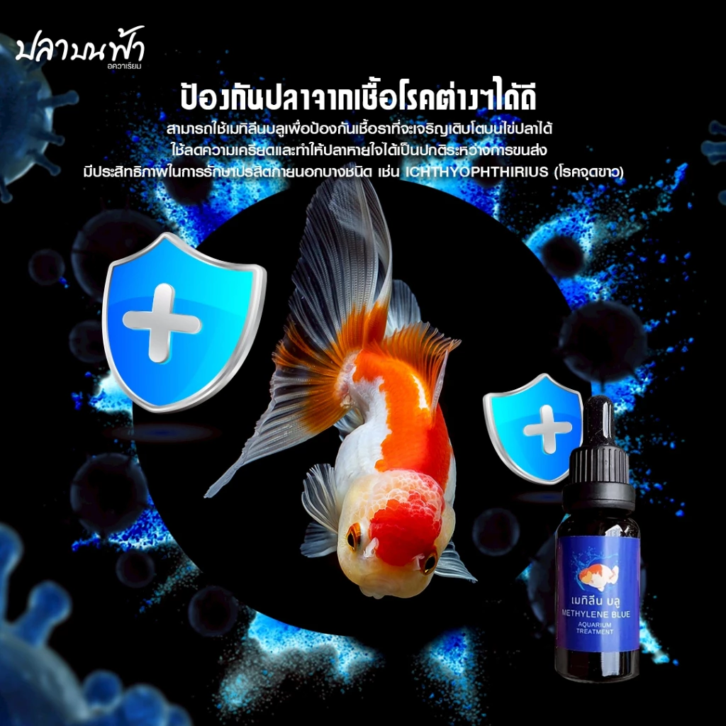 เมทิลีนบลู ยาปลาสวยงาม 20/50/100ml ลดเชื้อรา ฟักไข่ปลา thumbnail 6