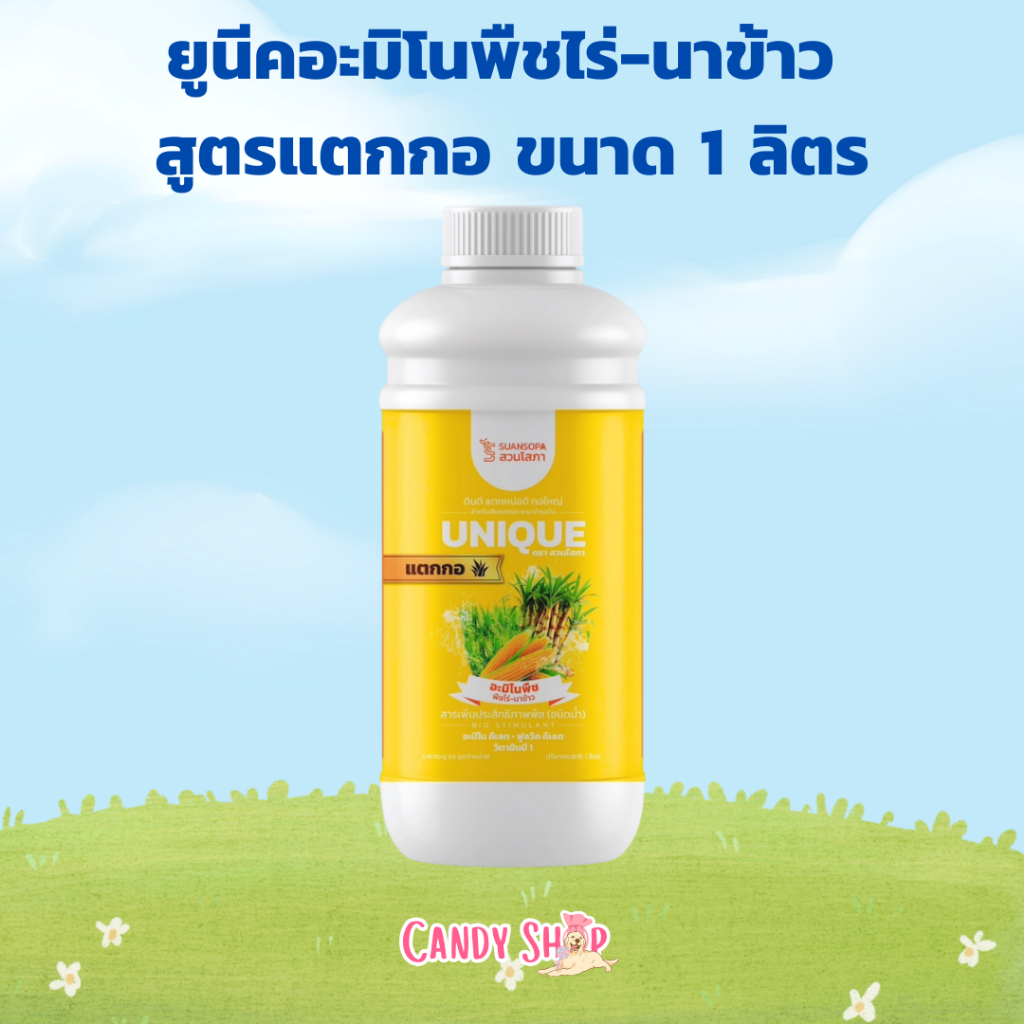 ยูนีคมอะมิโนพืชไร่-นาข้าว สูตรแตกกอ เร่งการแตกกอ แตกกอเร็ว กอแน่น สม่ำเสมอ   บำรุงต้นอ่อนให้แข็งแรง ลำต้นตั้งตรง รากดี