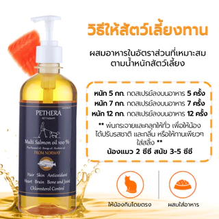Petus น้ำมันปลา Pethera น้ำมันปลาแซลมอน Salmon Oil น้ำมันปลาแซลมอน อาหารเสริม โอเมก้า 3 6 9 DHA