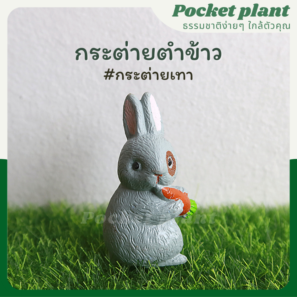 มุมมอง 5