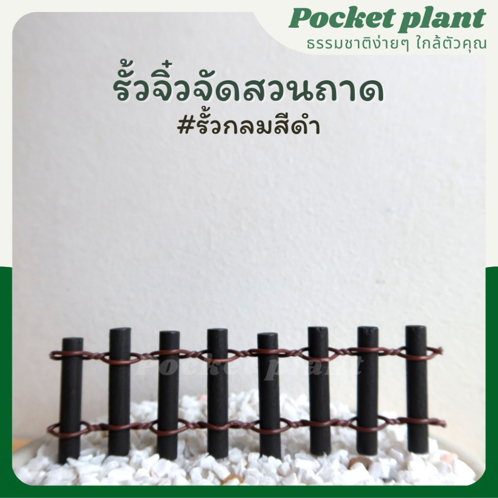 มุมมอง 3