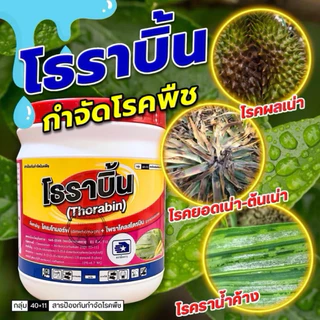 โธราบิ้น(ไดเมทโทมอฟ+ไพราโคสโตรบิน) 🥬สารป้องกันกำจัดโรคพืชที่เกิดจากเชื่อรา