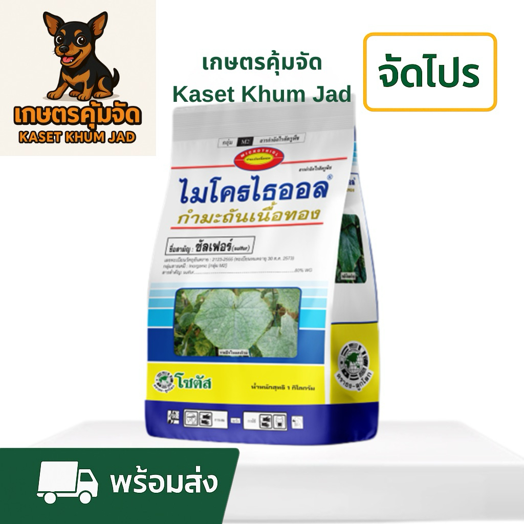 ไมโครไธออล 1 กก. กำมะถันเนื้อทอง (Microthiol Special)  ไรหยุด! โรคหาย! กำมะถันเนื้อทองสูตรพิเศษ ใช้ง่าย ไม่อุดหัวฉีด 🧪🪳🌿