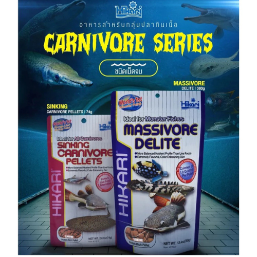 Hikari Sinking Carnivore, Hikari Massivore Delite อาหารปลากินเนื้อ ชนิดเม็ดแบนจมน้ำเร็ว