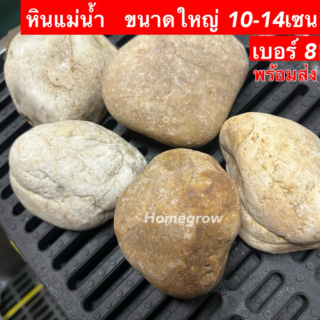 หินกรวดแม่น้ำ หินจัดสวน หินกรวดขาว หินรองตู้ปลา กระสอบล่ะ ( 6-7) กิโล
