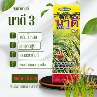 ยกลัง นาดี สูตร 3 ช่วยรับท้อง สะสมแป้ง เมล็ดเต่ง น้ำหนักดี ข…