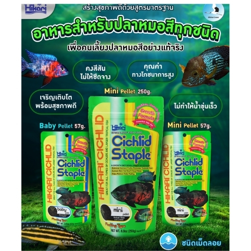 Hikari Cichlid Staple อาหารปลาออสก้า และปลาหมอสีทุกชนิด  สูตรสมดุล