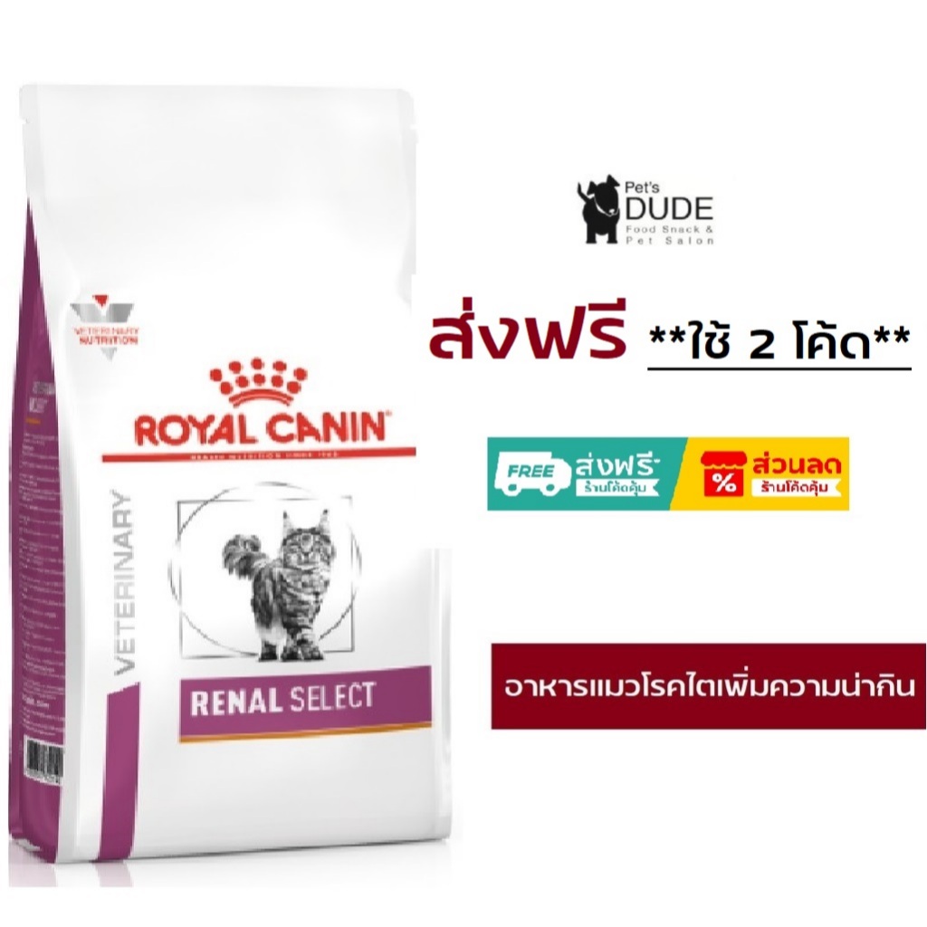 Royal Canin Renal Select อาหารแมวโรคไต สูตรอร่อย แก้ปัญหาแมวกินยาก