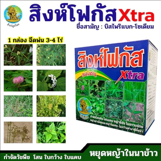 สิงห์โฟกัส เอ็กตร้า โอดิน ของแท้ ยา เก็บหญ้าในนาข้าว เก็บหญ้าใบกว้าง ใบแคบ ฆ่าหญ้า นาข้าว สิงห์ลูกโลก หลักนา ข้าวนก โสน