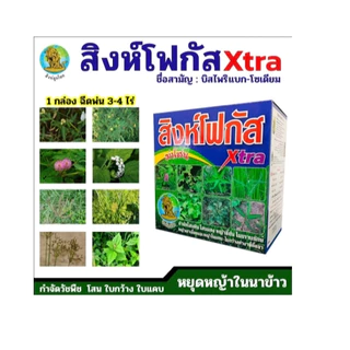 สิงห์โฟกัส เอ็กตร้า โอดิน ของแท้ ยา เก็บหญ้าในนาข้าว เก็บหญ้าใบกว้าง ใบแคบ ฆ่าหญ้า นาข้าว สิงห์ลูกโลก หลักนา ข้าวนก โสน