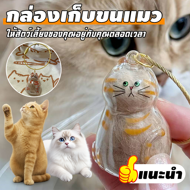 *มีสินค้าในสต็อก*โปร่งใสแมวกล่องเก็บขนสัตว์เลี้ยง ของเล่นแมวแคปซูลญี่ปุ่น พวงกุญแจ