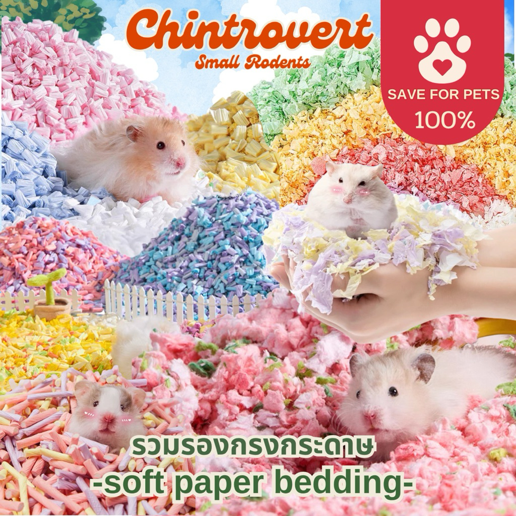 Chintrovert ✨| รองกรงกระดาษยี่ห้อดียี่ห้อดัง Bucatstate,Guaijuan,Tafit รองกรงสัตว์ฟันแทะ