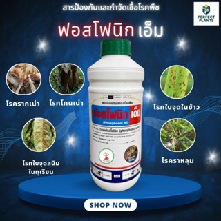 ฟอสโฟนิก เอ็ม 