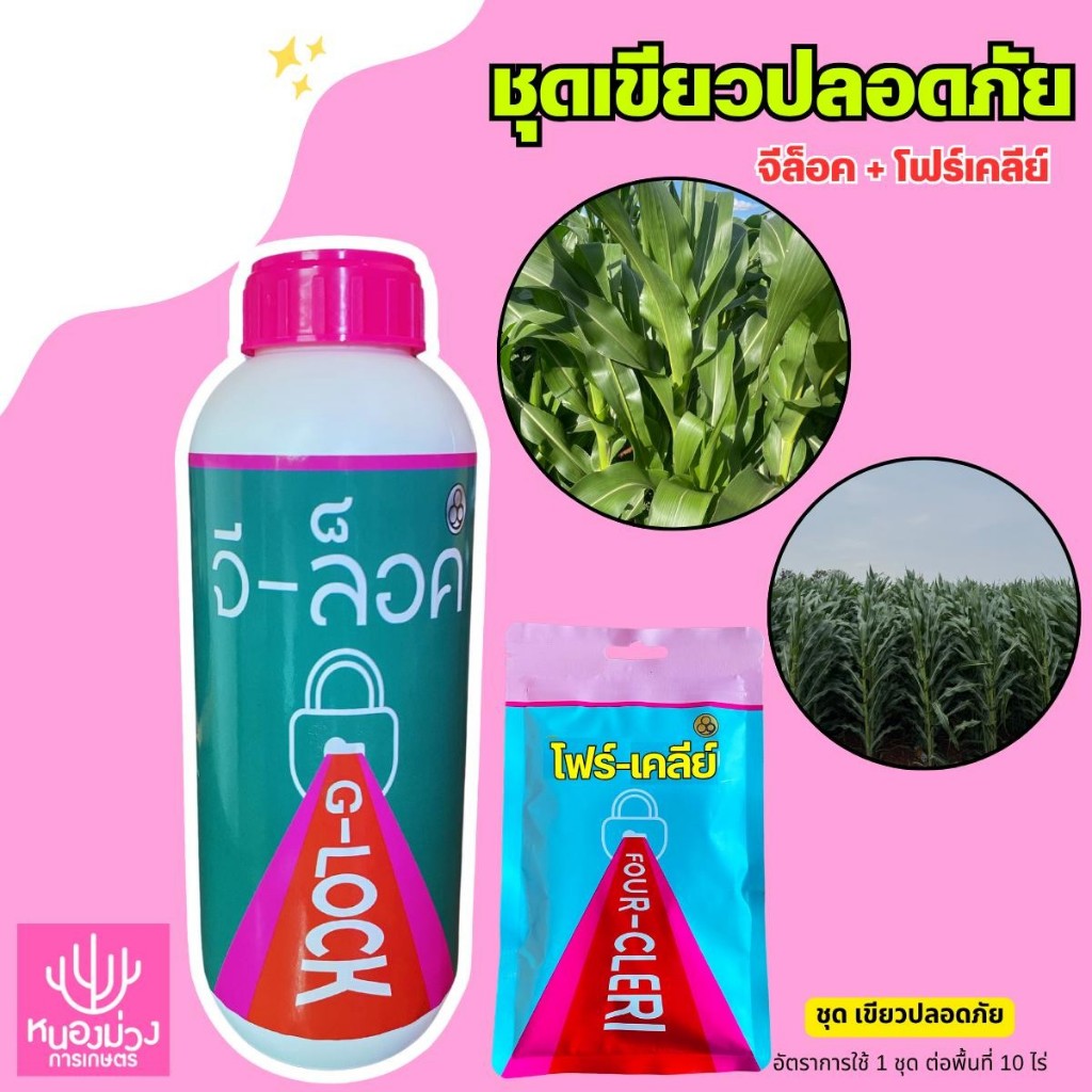 ฮอร์โมน ชุดเขียวปลอดภัย จีล็อค1 ลิตร +โฟร์เคลีย์ 1 ซอง ฉีดได้ 10 ไร่