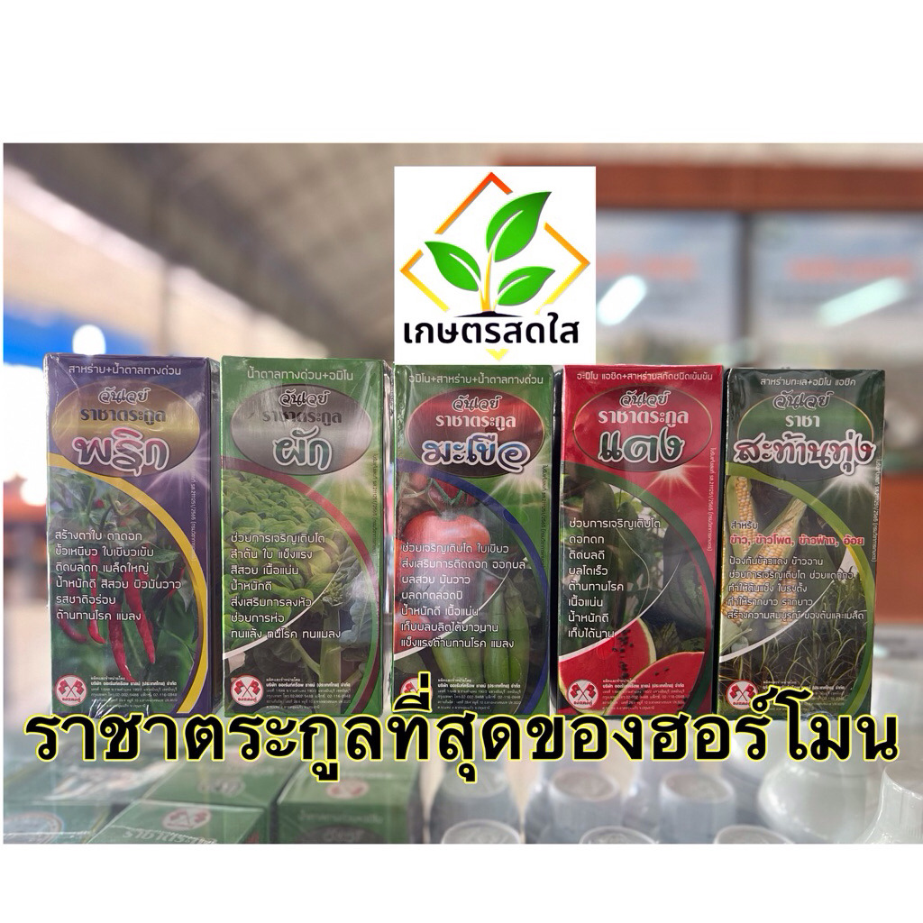 ราชาตระกูล ฮอร์โมนเพิ่มผลผลิต สร้างดอก สร้างใบ ผลสวย ต้านทานโรค *ขนาด 500 ซีซี